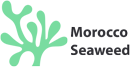 Morocco Seaweed Logo