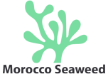 Algas en Marruecos Logo